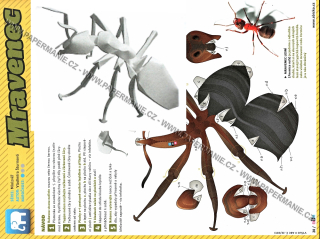 Minizvěř - Mravenec