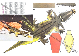 ZOO ABC - Krokodýl