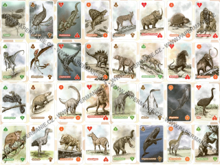 Karty - S pravěkými zvířaty